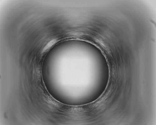 X0000095901354200801251215