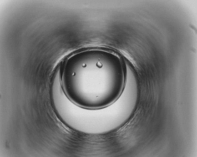 X0000095901356200801251215