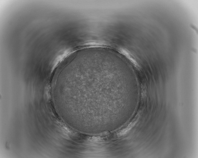 X0000095901357200801251215