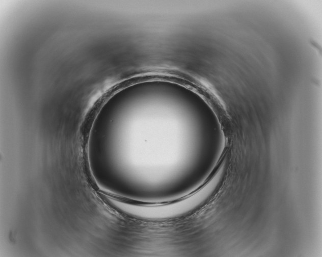 X0000095901360200801251215