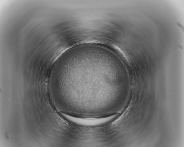 X0000095901361200801251215