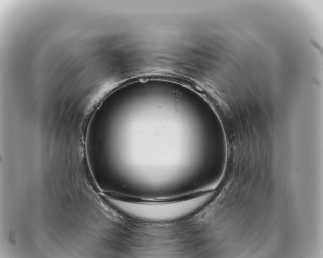 X0000095901363200801251215