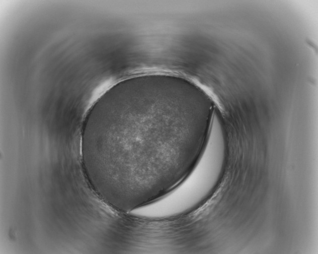 X0000095901365200801251215