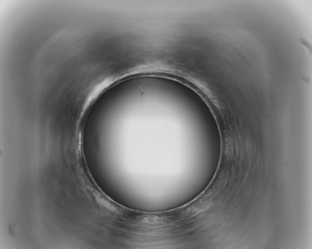 X0000095901366200801251215