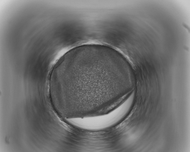 X0000095901367200801251215