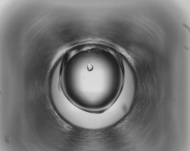 X0000095901368200801251215