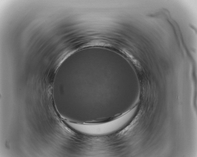 X0000095901369200801251215