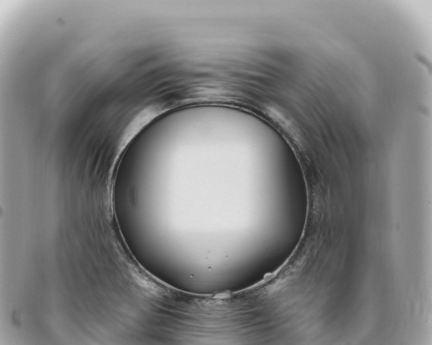 X0000095901370200801251215