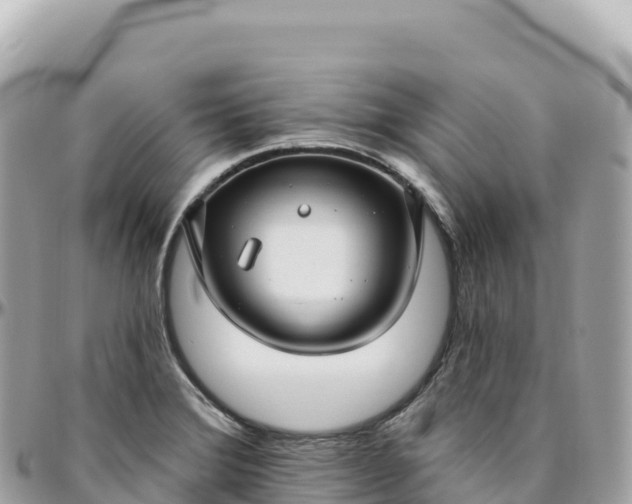 X0000095901372200801251215