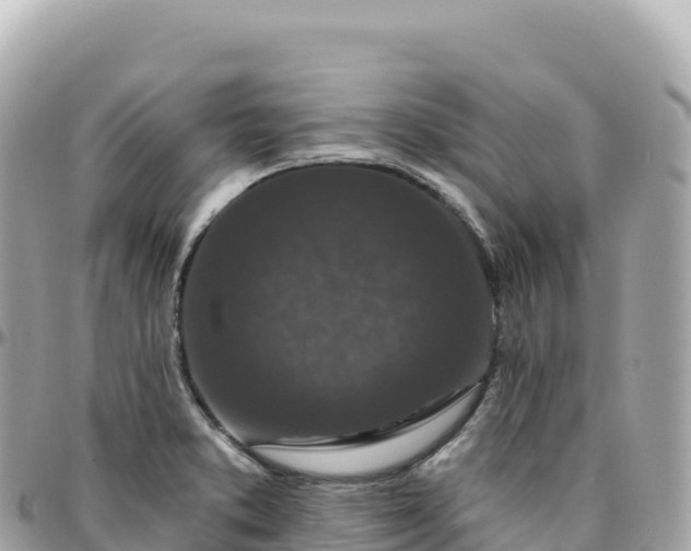 X0000095901373200801251215