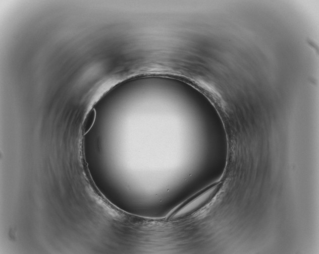 X0000095901374200801251215