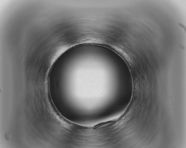 X0000095901375200801251215