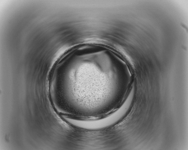 X0000095901376200801251215