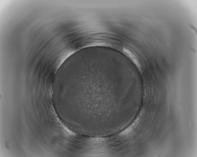 X0000095901377200801251215