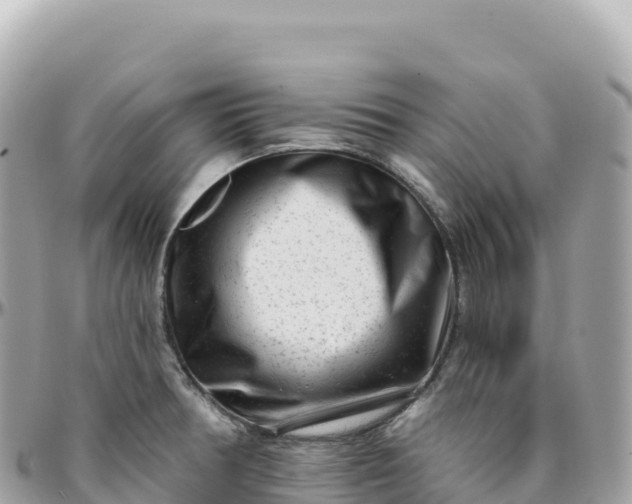 X0000095901378200801251215