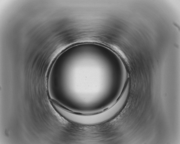 X0000095901380200801251215