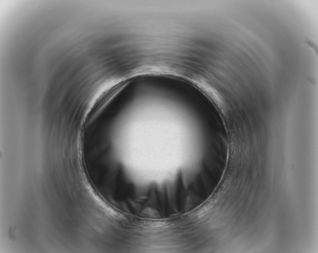 X0000095901382200801251215