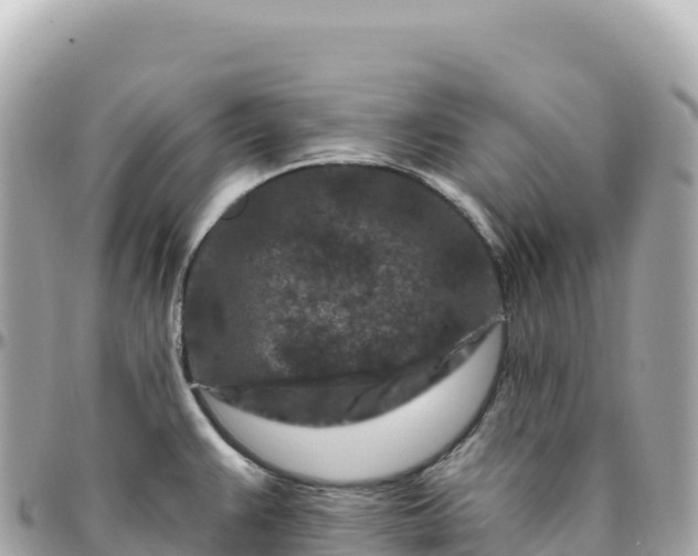 X0000095901383200801251215