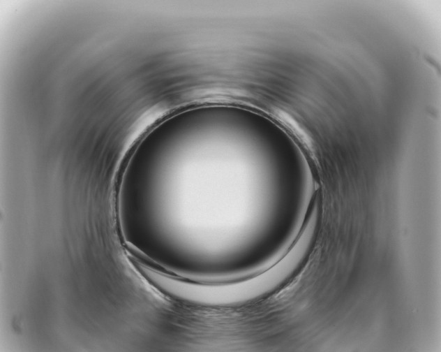 X0000095901384200801251215