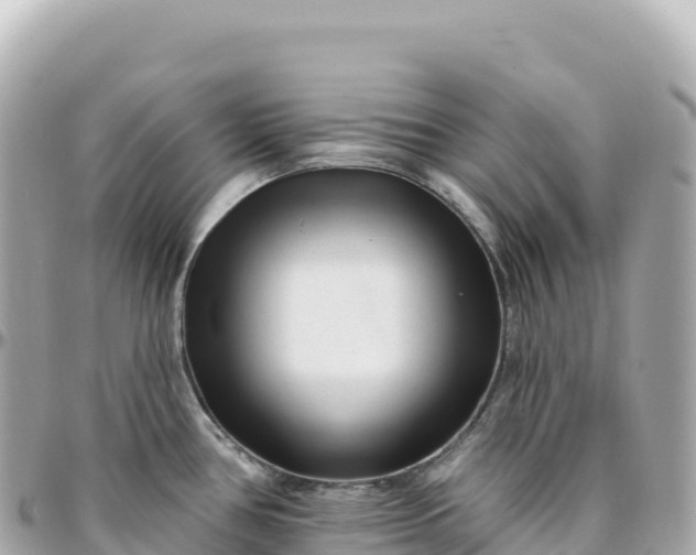 X0000095901386200801251215