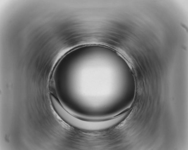 X0000095901388200801251215