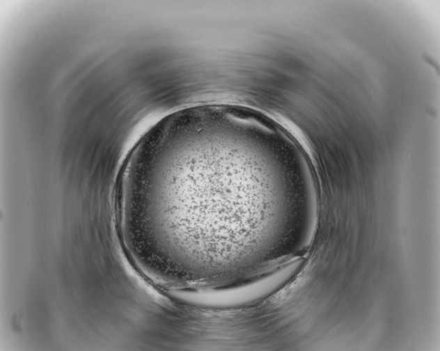 X0000095901389200801251215