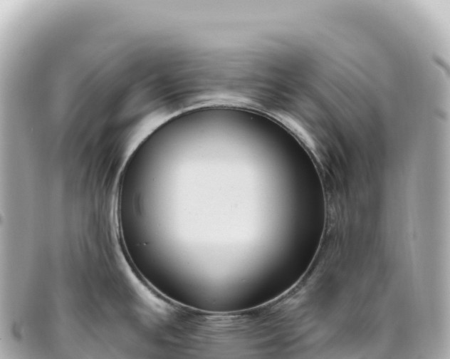 X0000095901391200801251215