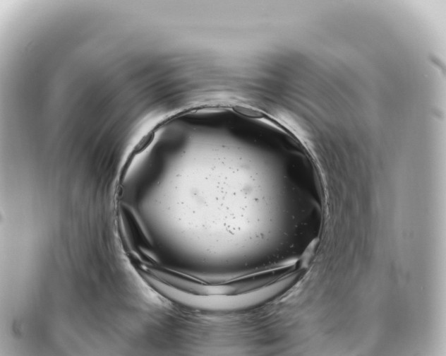 X0000095901392200801251215