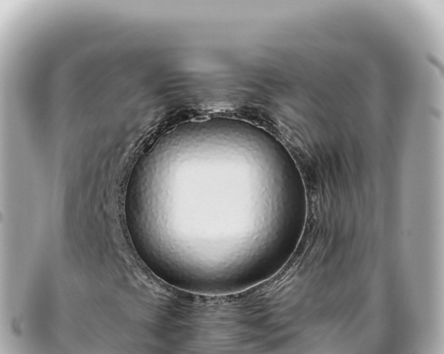 X0000095901393200801251214