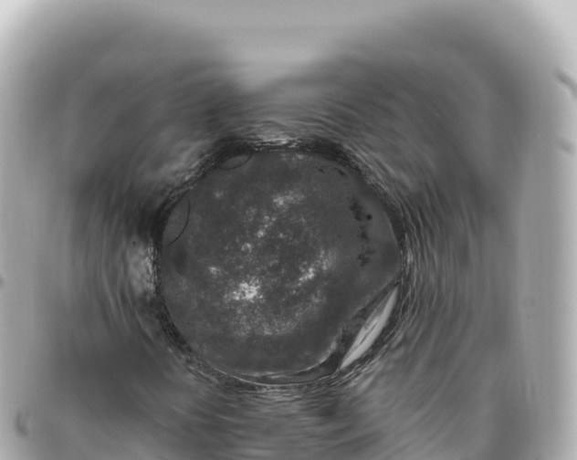 X0000095901394200801251214