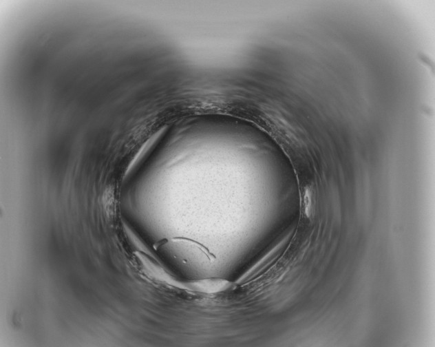 X0000095901395200801251214