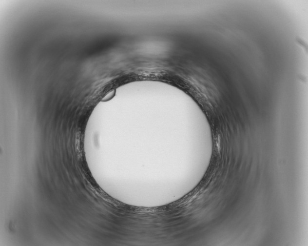 X0000095901396200801251214