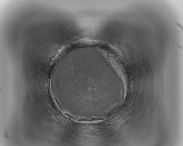 X0000095901397200801251214