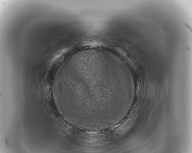 X0000095901398200801251214