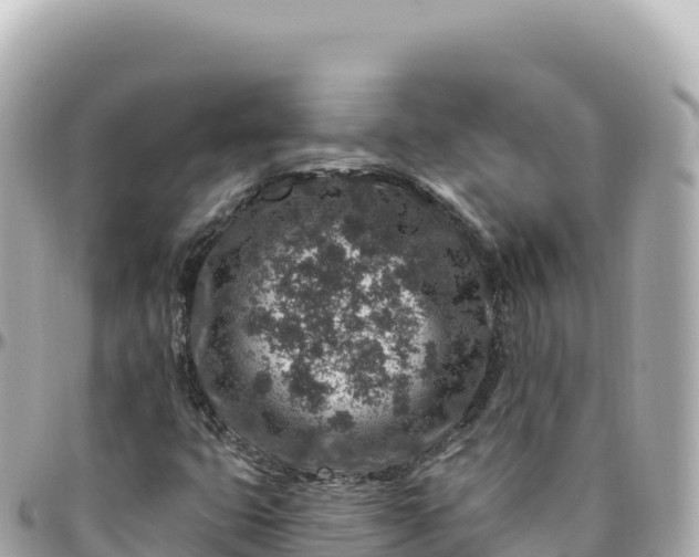 X0000095901399200801251214