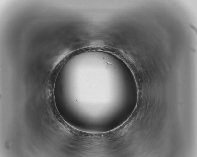 X0000095901400200801251214