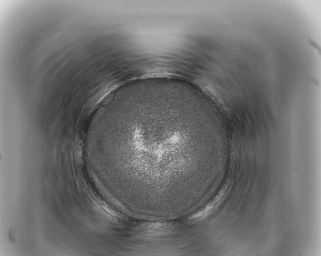 X0000095901401200801251214