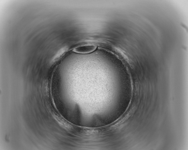 X0000095901403200801251214