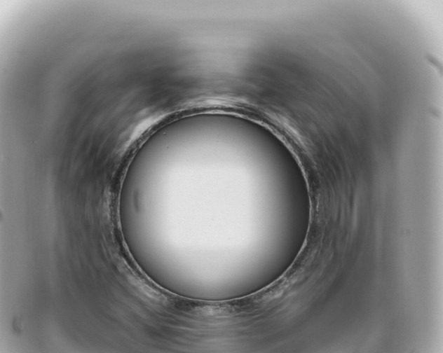 X0000095901404200801251214