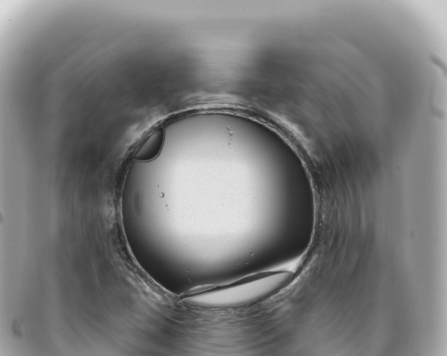 X0000095901407200801251214