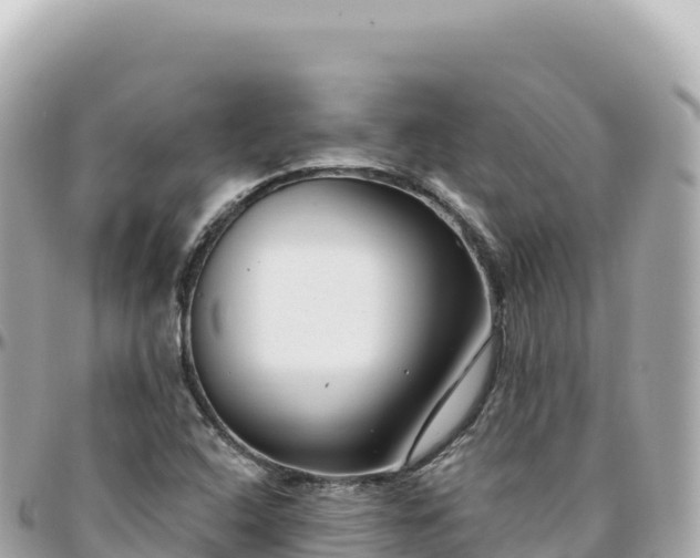 X0000095901408200801251214