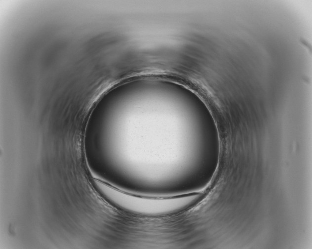 X0000095901409200801251214