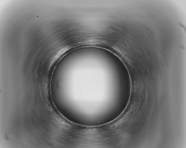 X0000095901410200801251214