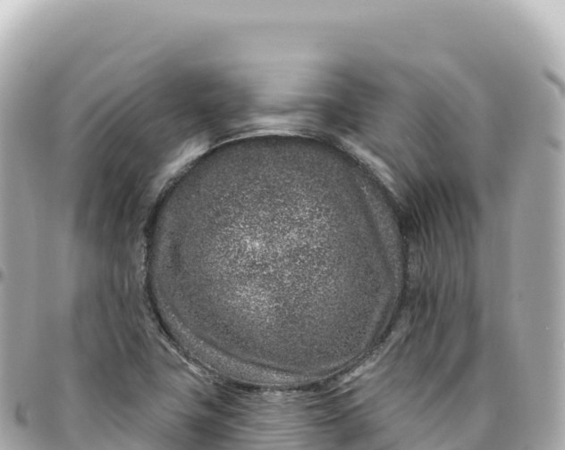 X0000095901411200801251214