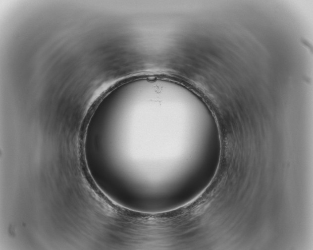 X0000095901412200801251214