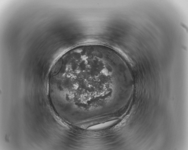 X0000095901413200801251214