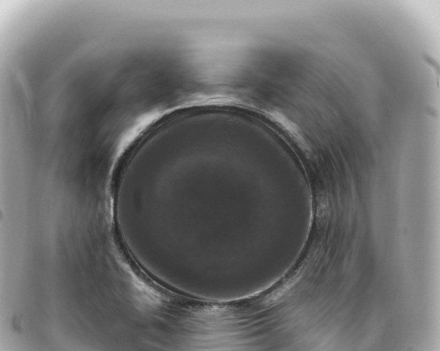 X0000095901414200801251214