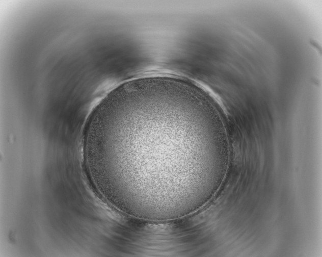 X0000095901415200801251214