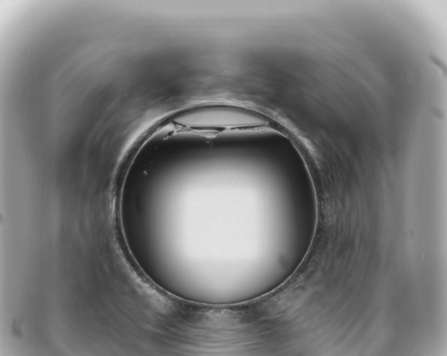 X0000095901416200801251214