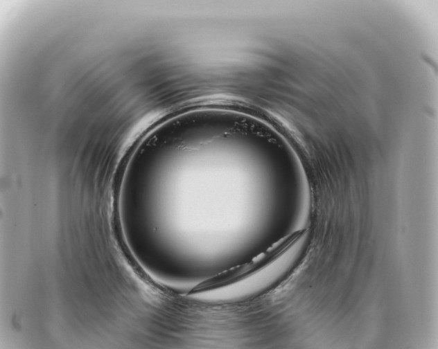 X0000095901418200801251214